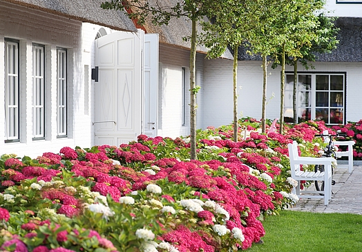 Severin*s Resort & Spa | Golf på Sylt