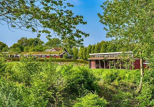 Golfanlage Hohwacht