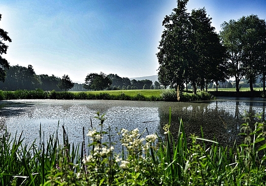 ©Redaktion FrontRowSociety.net.