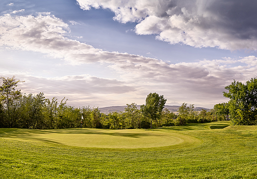 Aparthotel Parkallee am Mainzer Golf Club