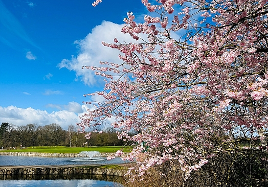 Treudelberg Resort Hamburg
