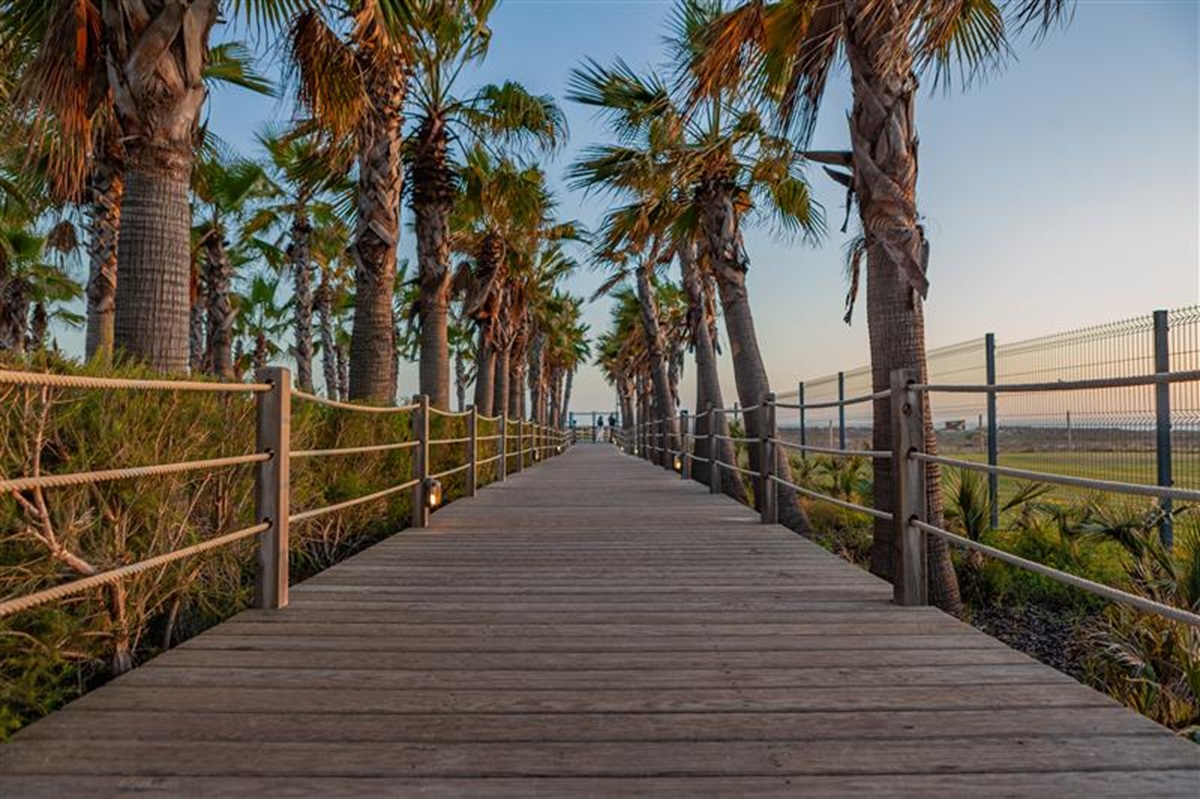 Wine & Books by the Sea