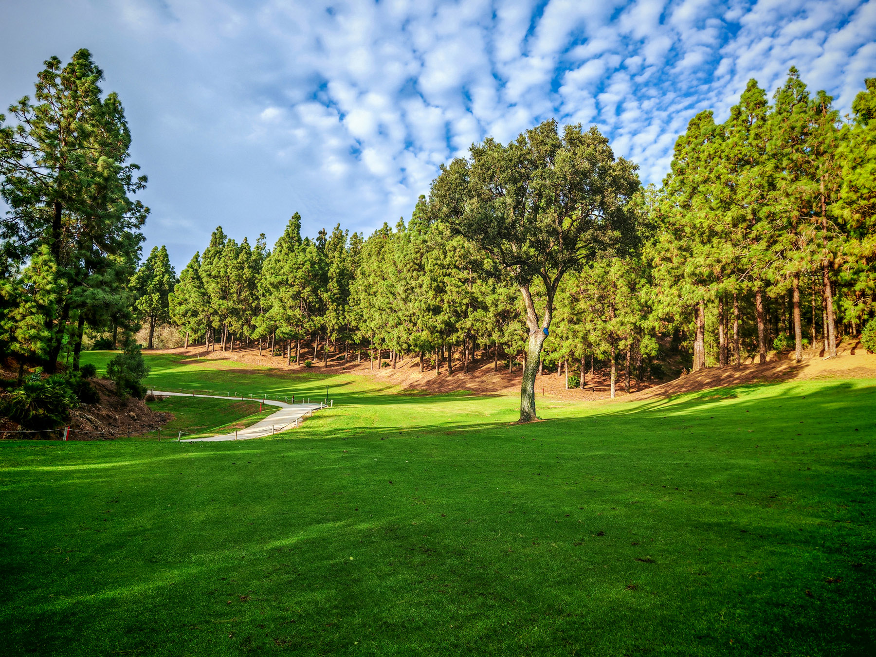 Chaparral Golf Club