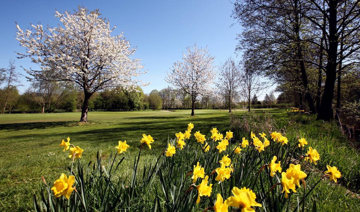 Schloss Breitenburg Golf Club