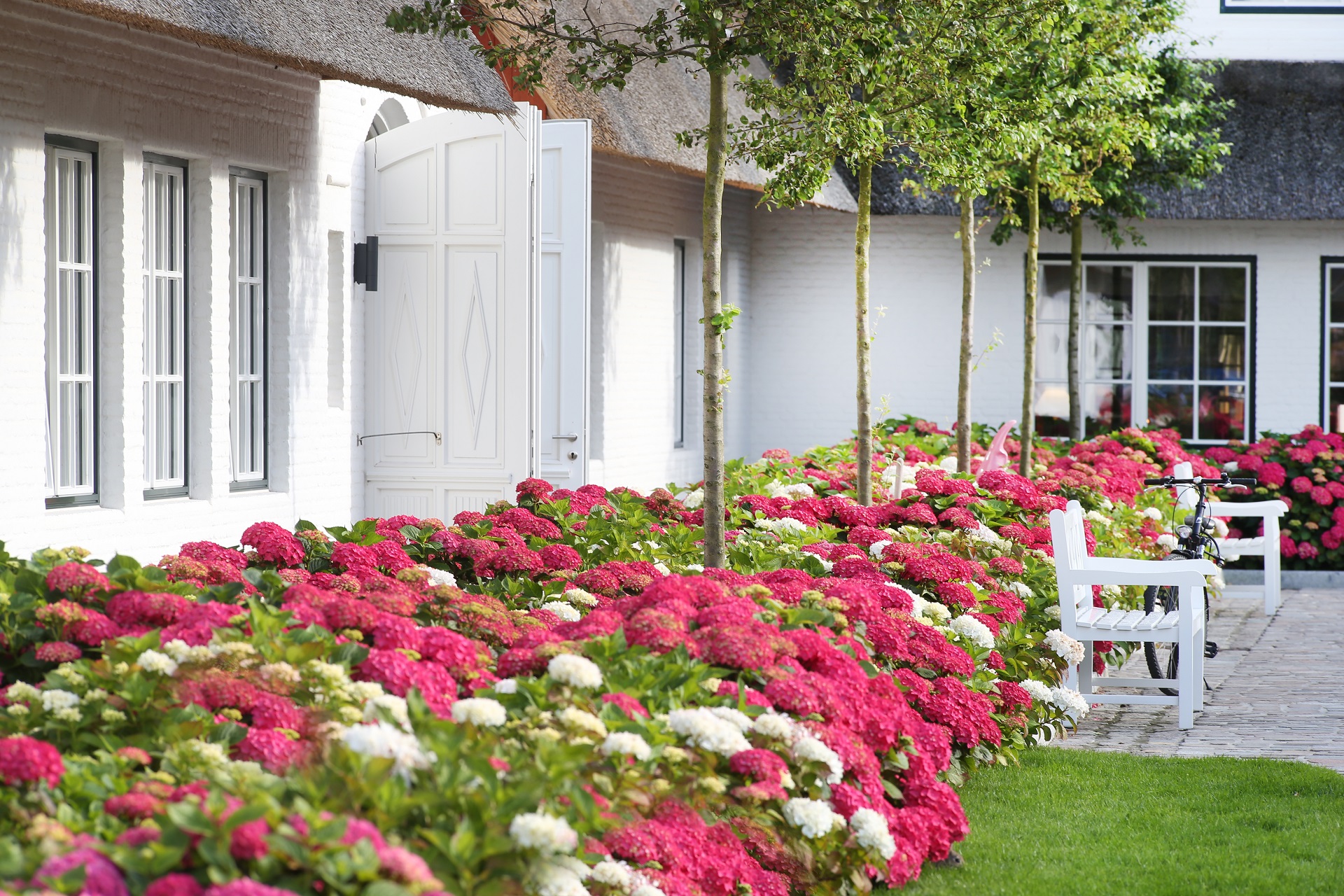 Severin*s Resort & Spa | Golf på Sylt